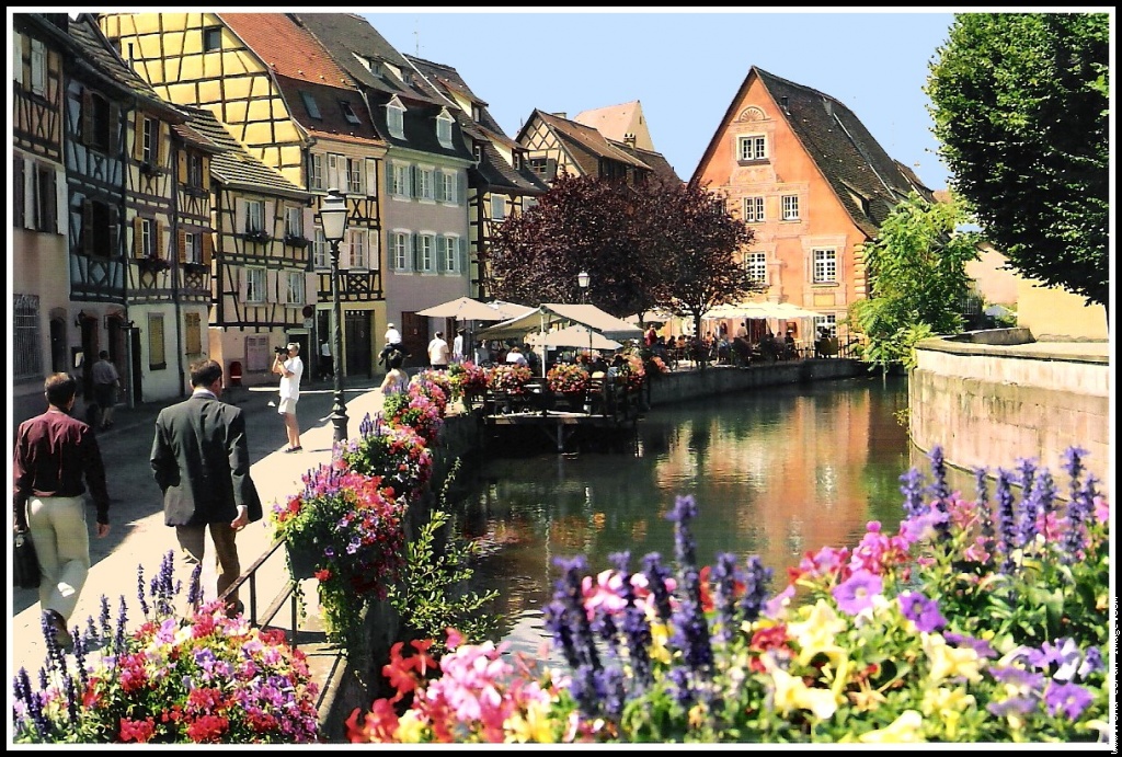 Colmar: Ubiquitous on the Route of French Wine